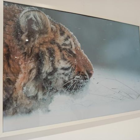 A 4 min du Zoo de Beauval La Maison à Partager Ch4 2ème étage Saint-Aignan  Esterno foto