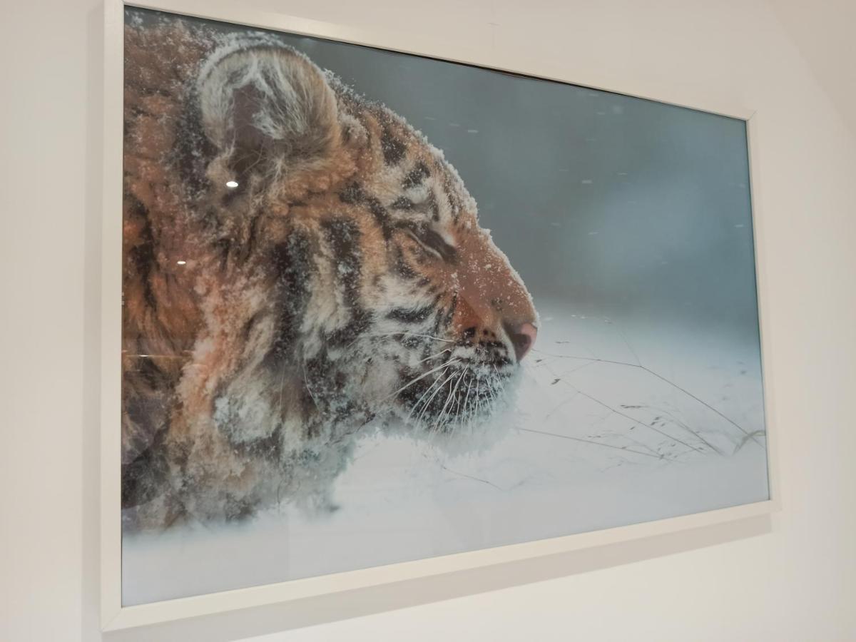 A 4 min du Zoo de Beauval La Maison à Partager Ch4 2ème étage Saint-Aignan  Esterno foto